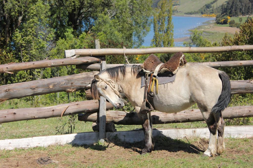 Готель Refugio Pullao Quilquico Екстер'єр фото